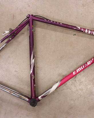 Telaio Francesco Moser 54