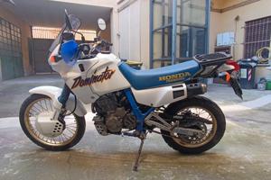 dominator  nX 650