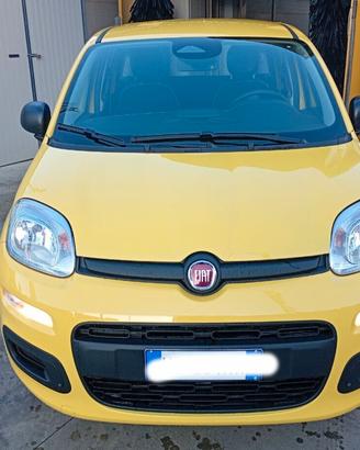 Fiat Panda PANDINA 1.0 FireFly S&S Hybrid Icon