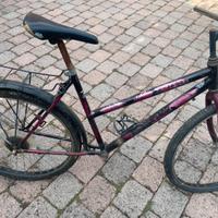 Mountain bike donna