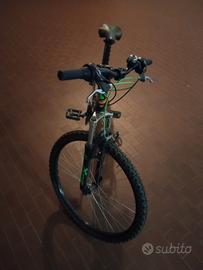 Bicicletta 26
