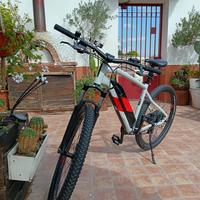Bicicletta elettrica