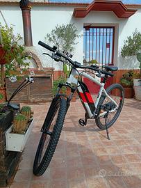 Bicicletta elettrica