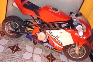 Minimoto replica blata