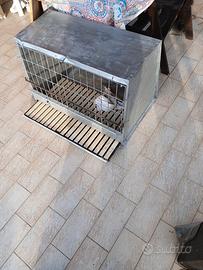 trasportino cani 