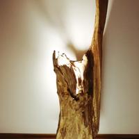 Sculture / lampade in legno naturale