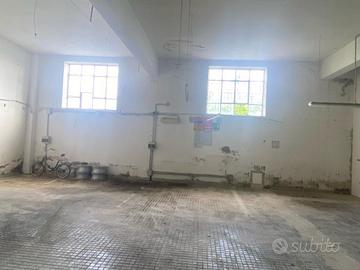 Ampio e luminoso immobile