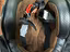 Immagine 5
