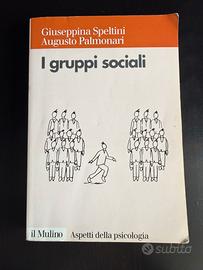 I gruppi sociali - Speltini, Palmonari
