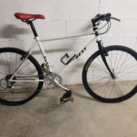 bicicletta Mountain Bike