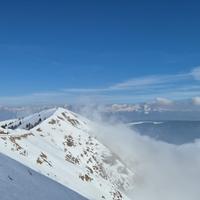 Camera in appartamento condiviso