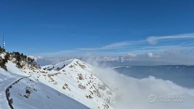 Camera in appartamento condiviso
