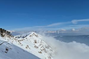 Camera in appartamento condiviso