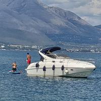 Salpa 31.5