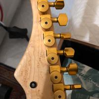 Chitarra elettrica frudua