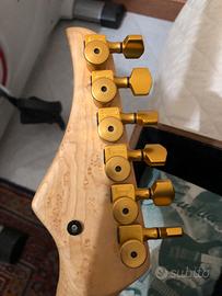 Chitarra elettrica frudua
