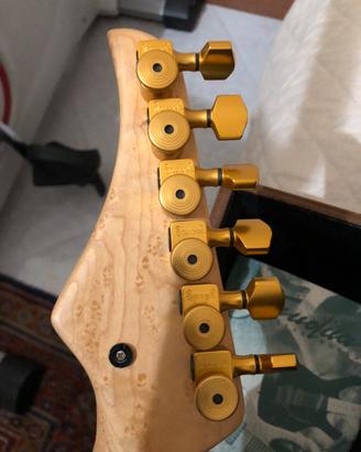 Chitarra elettrica frudua
