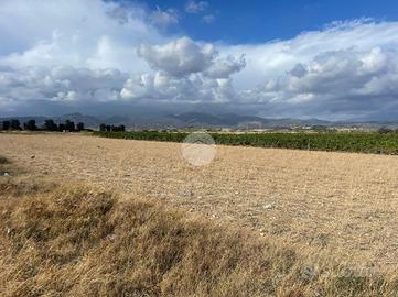 TER. AGRICOLO A QUARTUCCIU