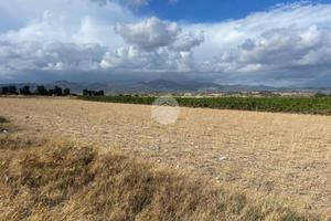 TER. AGRICOLO A QUARTUCCIU