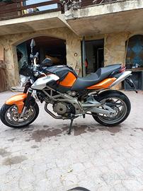 Aprilia shiver 750