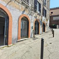 Negozio Orte [Cod. rif 3250502ACG]