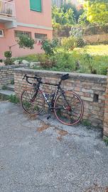 Bici da Corsa Moser