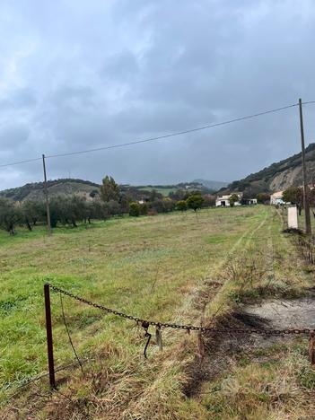 Terreno con casa