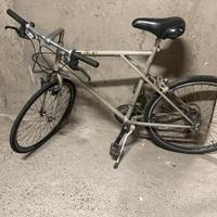 Bicicletta uomo