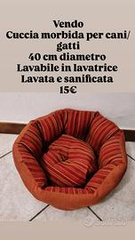 2 cucce morbide 40x30