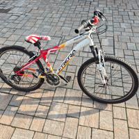 bicicletta ragazzo 8/12 anni
