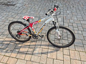 bicicletta ragazzo 8/12 anni