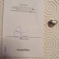 Charme Pandora