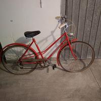 bici Girardengo donna