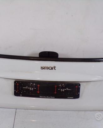 Baule bauletto posteriore Smart 451 2009