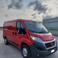 Fiat ducato professional