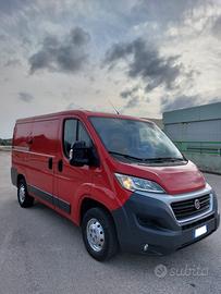 Fiat ducato professional