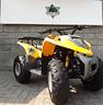 mini-quad-adly-50