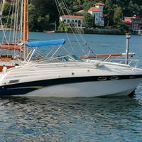 Crownline 268 CR
