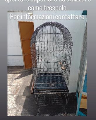 gabbia per pappagalli 