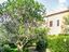 Immagine 6