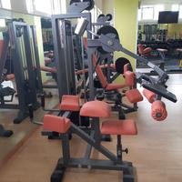 Gluteus Machine