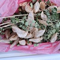 pigne rami rametti fai da te decupage crea creare