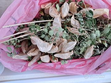 pigne rami rametti fai da te decupage crea creare