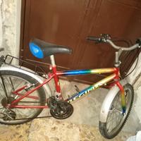 Bici ragazzino