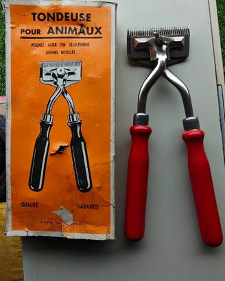 tosatrice per cavalli