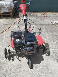 Motozzappa Ibea muscela