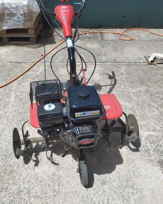 Motozzappa Ibea muscela