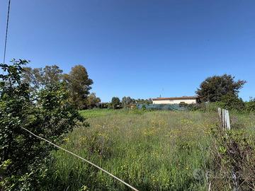Terreno Agricolo Aprilia [Cod. rif 3310333VRG]