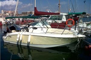 Walkaround 23 Fuoribordo Suzuki 250