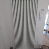 Termosifone Tesi Irsap